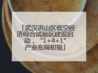 武汉洪山区低空经济综合试验区建设启动，“1+4+1”产业布局初现