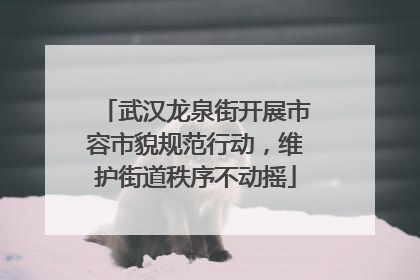 武汉龙泉街开展市容市貌规范行动，维护街道秩序不动摇