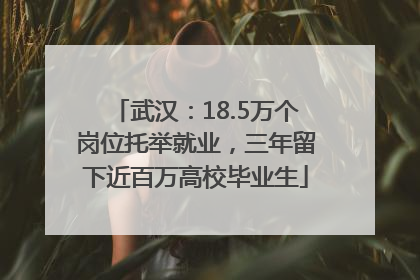 武汉：18.5万个岗位托举就业，三年留下近百万高校毕业生