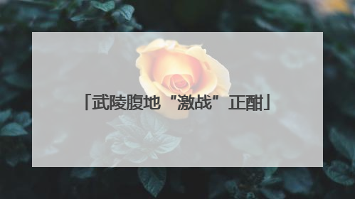武陵腹地“激战”正酣