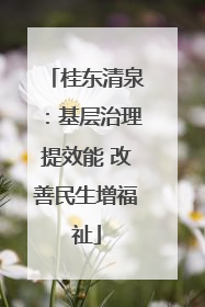 桂东清泉：基层治理提效能 改善民生增福祉