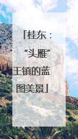 桂东：“头雁”王镇的蓝图美景