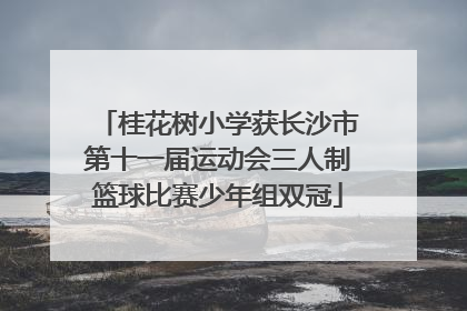 桂花树小学获长沙市第十一届运动会三人制篮球比赛少年组双冠