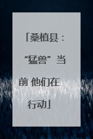 桑植县：“猛兽”当前 他们在行动
