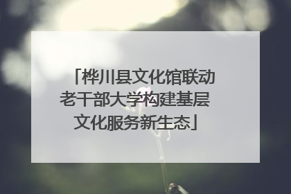 桦川县文化馆联动老干部大学构建基层文化服务新生态
