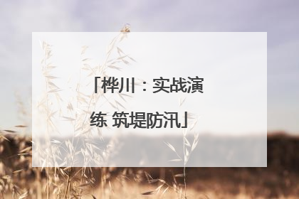 桦川：实战演练 筑堤防汛