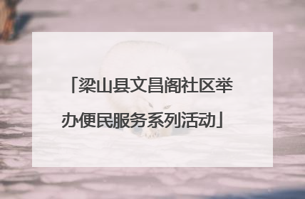 梁山县文昌阁社区举办便民服务系列活动