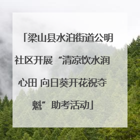 梁山县水泊街道公明社区开展“清凉饮水润心田 向日葵开花祝夺魁”助考活动