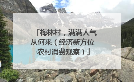 梅林村，满满人气从何来（经济新方位·农村消费观察）