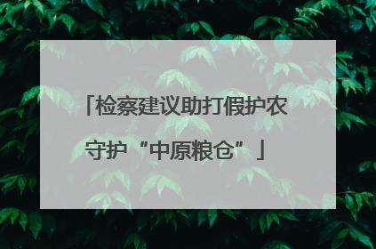 检察建议助打假护农守护“中原粮仓”
