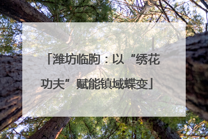 潍坊临朐：以“绣花功夫”赋能镇域蝶变