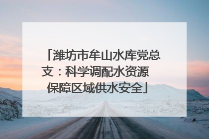 潍坊市牟山水库党总支：科学调配水资源 保障区域供水安全