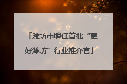 潍坊市聘任首批“更好潍坊”行业推介官