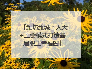 潍坊潍城：人大+工会模式打造基层职工幸福圈