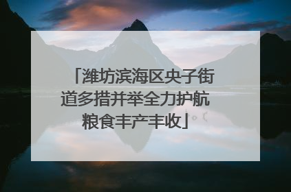 潍坊滨海区央子街道多措并举全力护航粮食丰产丰收