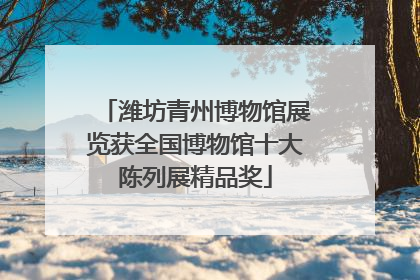 潍坊青州博物馆展览获全国博物馆十大陈列展精品奖