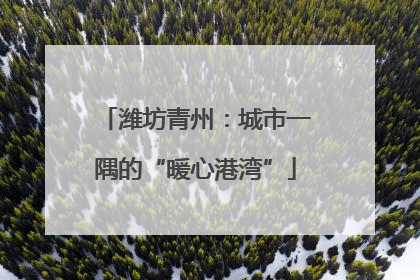 潍坊青州：城市一隅的“暖心港湾”