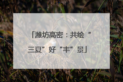 潍坊高密：共绘“三夏”好“丰”景