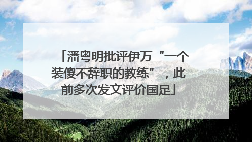 潘粤明批评伊万“一个装傻不辞职的教练”，此前多次发文评价国足