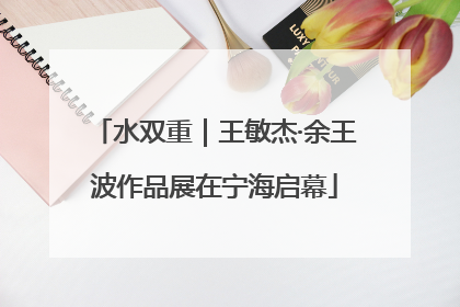 水双重｜王敏杰·余王波作品展在宁海启幕