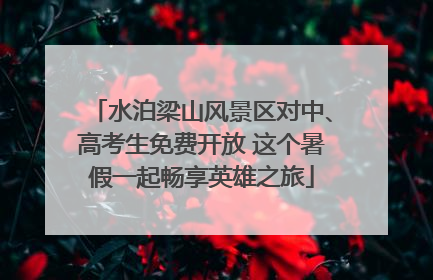 水泊梁山风景区对中、高考生免费开放 这个暑假一起畅享英雄之旅