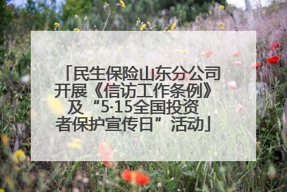 民生保险山东分公司开展《信访工作条例》及“5·15全国投资者保护宣传日”活动