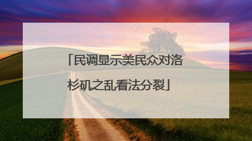 民调显示美民众对洛杉矶之乱看法分裂