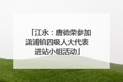 江永：唐德荣参加潇浦镇四级人大代表进站小组活动