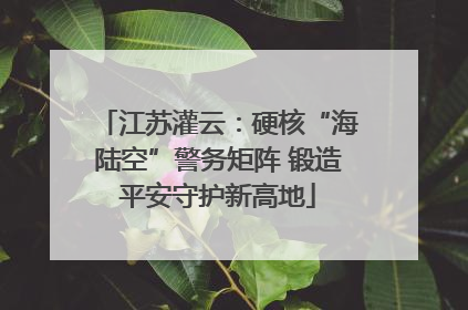 江苏灌云：硬核“海陆空”警务矩阵 锻造平安守护新高地