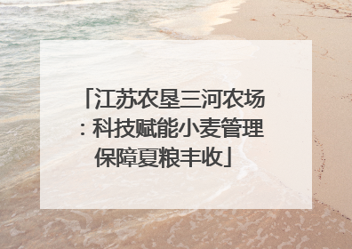 江苏农垦三河农场：科技赋能小麦管理保障夏粮丰收