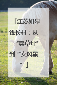 江苏如皋钱长村：从“卖草坪”到“卖风景”