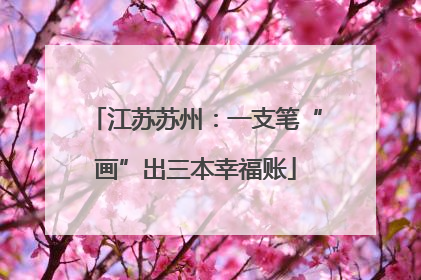 江苏苏州：一支笔“画”出三本幸福账