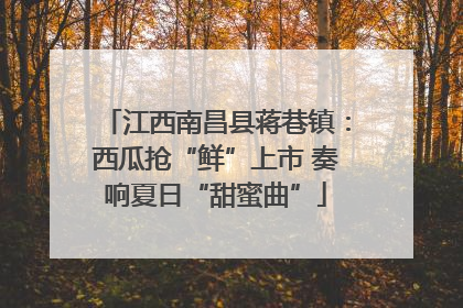 江西南昌县蒋巷镇：西瓜抢“鲜”上市 奏响夏日“甜蜜曲”