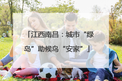 江西南昌：城市“绿岛”助候鸟“安家”