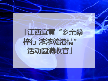 江西宜黄“乡亲桑梓行 浓浓赣港情”活动圆满收官