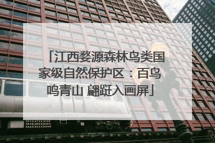 江西婺源森林鸟类国家级自然保护区：百鸟鸣青山 翩跹入画屏