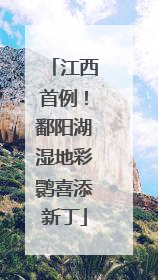 江西首例！鄱阳湖湿地彩鹮喜添新丁