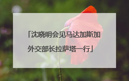 沈晓明会见马达加斯加外交部长拉萨塔一行