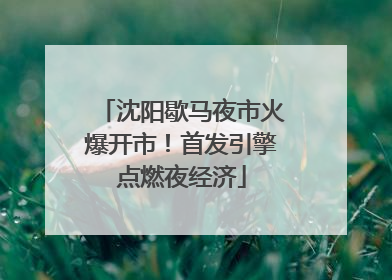 沈阳歇马夜市火爆开市！首发引擎点燃夜经济