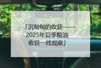 沉甸甸的收获——2025年夏季粮油收获一线观察