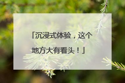 沉浸式体验，这个地方大有看头！