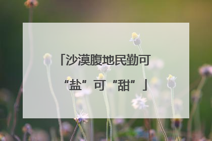 沙漠腹地民勤可“盐”可“甜”