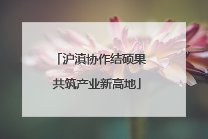 沪滇协作结硕果 共筑产业新高地