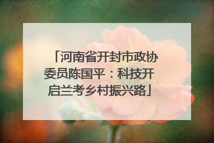 河南省开封市政协委员陈国平：科技开启兰考乡村振兴路