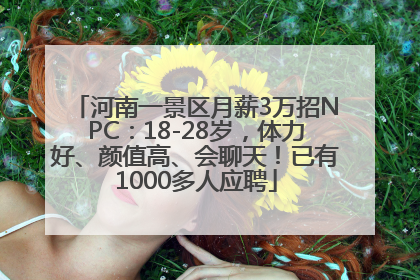 河南一景区月薪3万招NPC：18-28岁，体力好、颜值高、会聊天！已有1000多人应聘