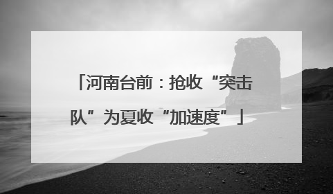 河南台前：抢收“突击队”为夏收“加速度”