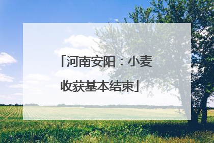 河南安阳：小麦收获基本结束