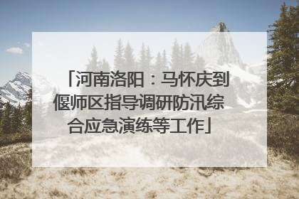 河南洛阳：马怀庆到偃师区指导调研防汛综合应急演练等工作