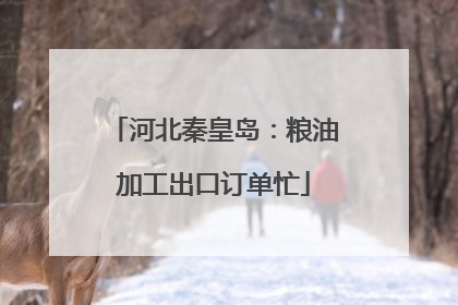 河北秦皇岛：粮油加工出口订单忙