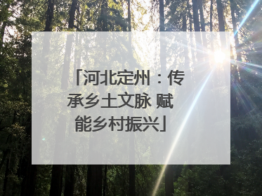 河北定州：传承乡土文脉 赋能乡村振兴
